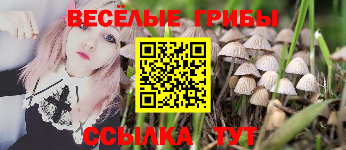 Галлюциногенные грибы ЛСД Губкинский