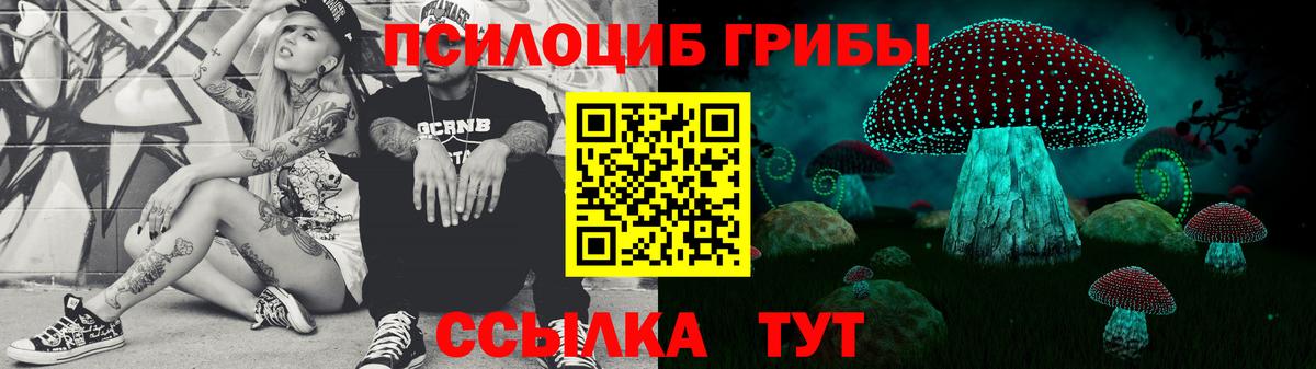 Губкинский  Галлюциногенные грибы мицелий  Вход с VPN 